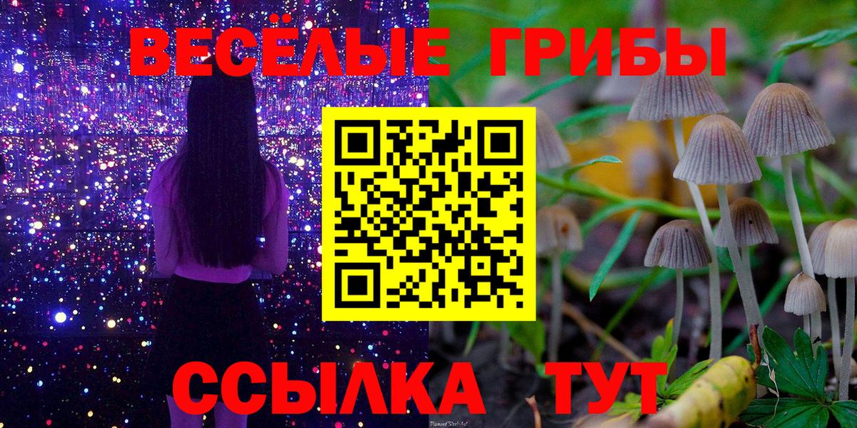 Псилоцибиновые грибы мухоморы Владимир